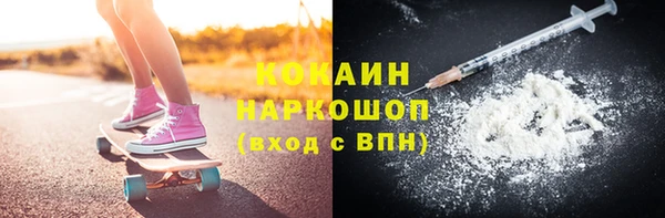сатива Арсеньев