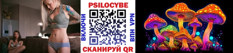 Купить  Удомля  Псилоцибиновые грибы MAGIC MUSHROOMS 
